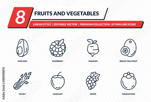 fruits and vegetables icons set - avocado, raspberry, radishes, breast milk fruit, mangosteen outline vector collection.