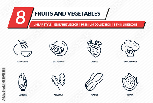 fruits and vegetables icons set - tangerine, grapefruit, lychee, cauliflower, pitaya outline vector collection.