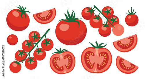 Various types of fresh tomatoes including whole fruits, sliced pieces, and small cherry tomatoes on a green vine.
