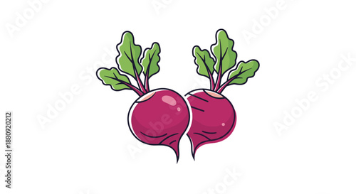 Hand drawn illustration of two purple radishes with fresh green leaves side by side, isolated on a clean white background for food design.