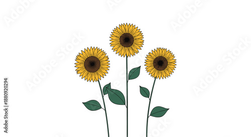 Three vibrant yellow sunflowers on tall green stems with large leaves standing against a plain white background in a minimal style.