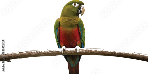 Vibrant miniature macaw perched calmly upon a rough textured wooden branch showcasing striking red and green plumage against a softly blurred natural background environment