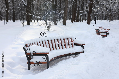 Wallpaper Mural A wooden bench in a park covered with snow in January. There are trees and footprints in the snow all around. Torontodigital.ca