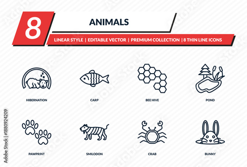animals icons set - hibernation, carp, bee hive, pond, bunny outline vector collection.