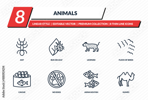 animals icons set - ant, bug on leaf, leopard, flock of birds, humps outline vector collection.