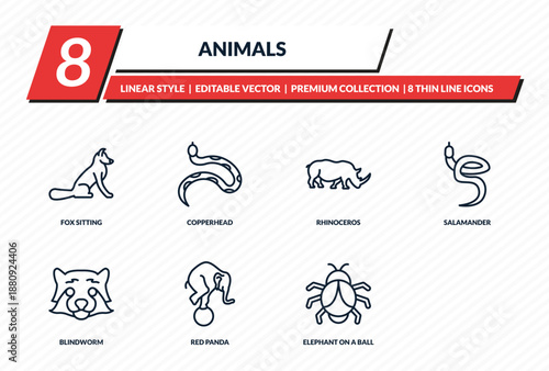 animals icons set - fox sitting, copperhead, rhinoceros, salamander, big bug outline vector collection.