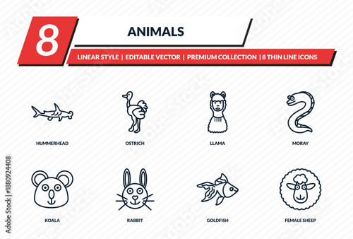 animals icons set - hummerhead, ostrich, llama, moray, female sheep outline vector collection.
