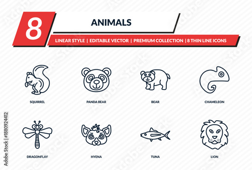animals icons set - squirrel, panda bear, bear, chameleon, lion outline vector collection.