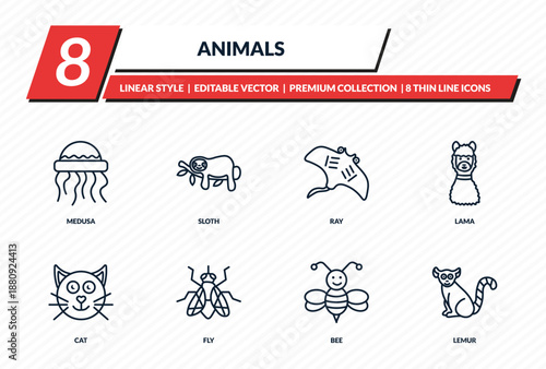 animals icons set - medusa, sloth, ray, lama, lemur outline vector collection.
