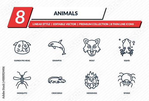 animals icons set - guinea pig heag, grampus, wolf, squid, spider outline vector collection.