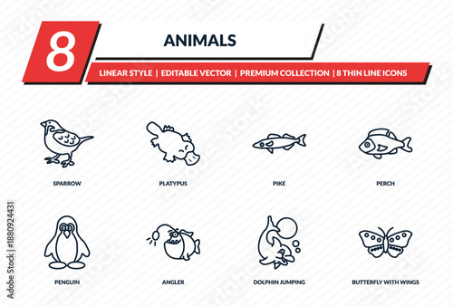 animals icons set - sparrow, platypus, pike, perch, butterfly with wings outline vector collection.