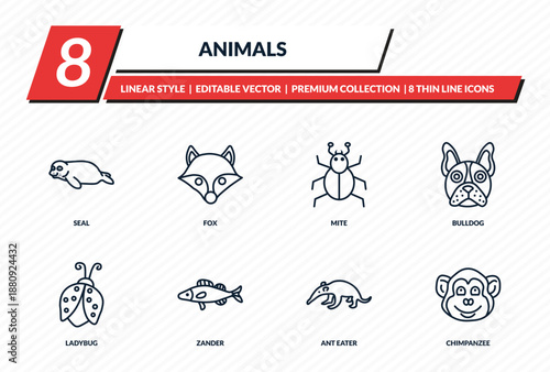 animals icons set - seal, fox, mite, bulldog, chimpanzee outline vector collection.