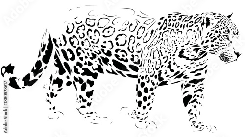 Stylized black and white jaguar illustration with distinctive rosette spots, walking. Wild predatory animal artwork.