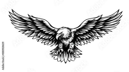 Majestic black and white eagle illustration with wings spread wide, soaring predatory bird graphic design element.