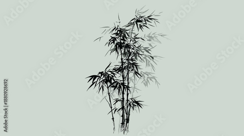 Black and White Bamboo Grove Illustration on Light Background. Oriental Nature Plant Graphic Element for Design.