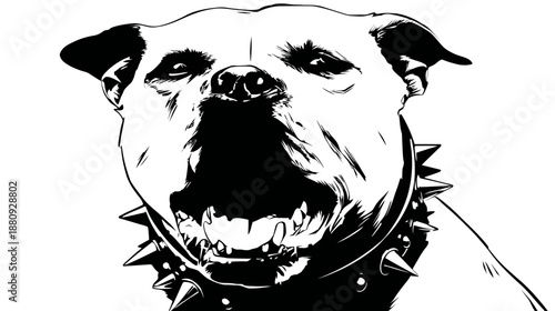 Fierce snarling dog with spiked collar, black and white vector illustration. Powerful canine showing teeth, aggressive animal art.