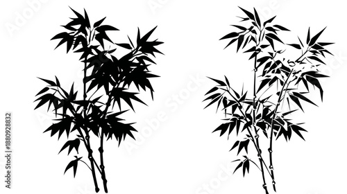 Bamboo Silhouette Graphic Illustration. Isolated Black Tropical Asian Plant Leaves. Vector Design Element for Zen Nature, Peace and Serenity.