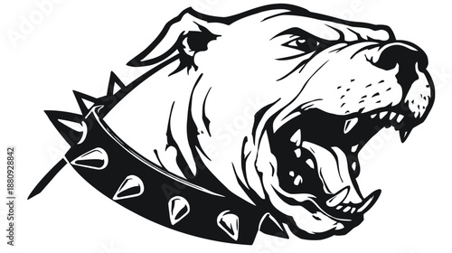 Vector illustration of an aggressive dog head snarling with sharp teeth and a spiked collar. Powerful fierce canine mascot in black and white.