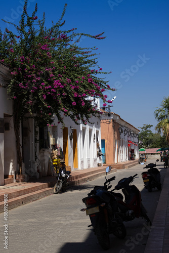 Wallpaper Mural Beautiful colonial streets of the Heritage Town of Santa Cruz de Mompox in Colombia. Torontodigital.ca