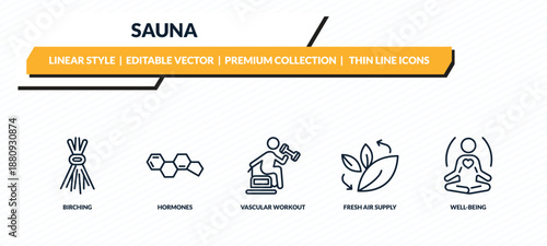 sauna icons set - birching, hormones, vascular workout, fresh air supply, well-being outline vector collection.