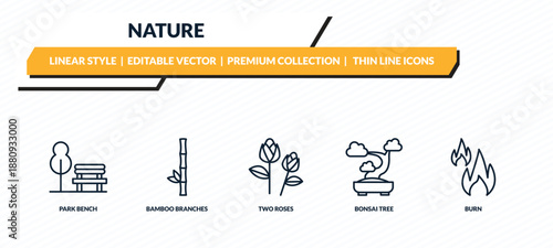 nature icons set - park bench, bamboo branches, two roses, bonsai tree, burn outline vector collection.