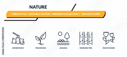 nature icons set - deforestation, tree growing, savannah, paper birch tree, pair of flowers outline vector collection.