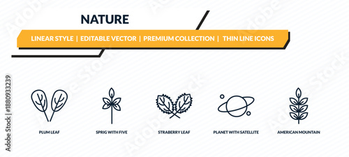 nature icons set - plum leaf, sprig with five leaves, straberry leaf, planet with satellite, american mountain ash outline vector collection.