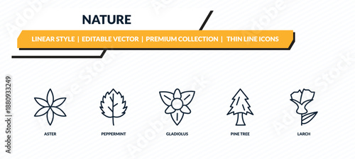 nature icons set - aster, peppermint, gladiolus, pine tree, larch outline vector collection.