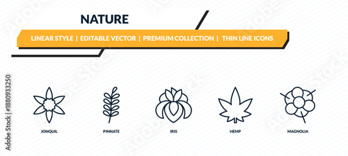 nature icons set - jonquil, pinnate, iris, hemp, magnolia outline vector collection.