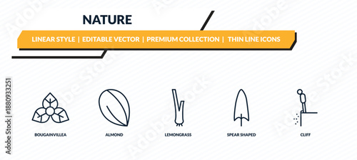 nature icons set - bougainvillea, almond, lemongrass, spear shaped, cliff outline vector collection.