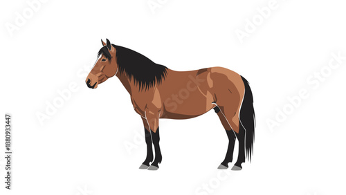 Brown horse standing profile view against white background