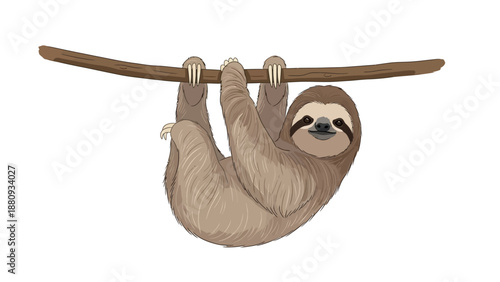 Cute sloth hanging from a branch on white background.