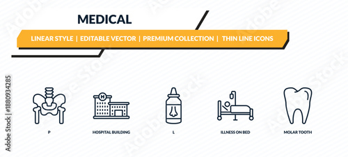 medical icons set - p, hospital building front, l, illness on bed, molar tooth outline vector collection.