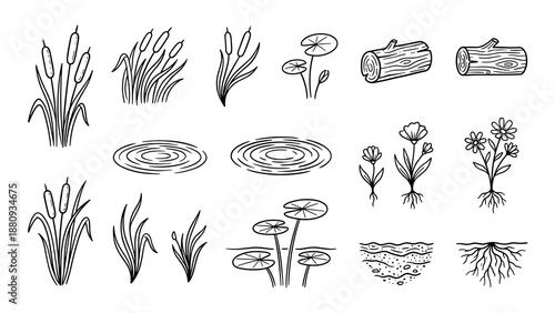 Collection of hand drawn aquatic plants and natural elements are presented in a clean illustrative style with distinct outlines and no background.