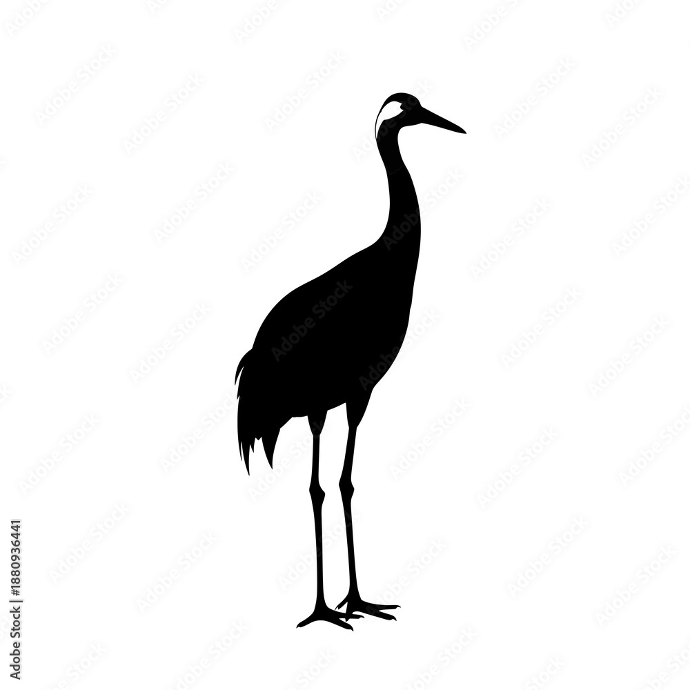 Obraz premium heron silhouette isolated on white