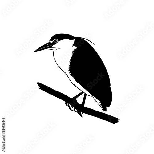 bird on a branch