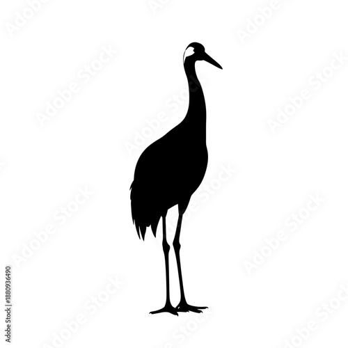 heron silhouette isolated on white