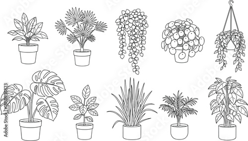 Indoor houseplant line art collection, potted plant outline drawings, botanical home decor set, minimal black and white vector illustration