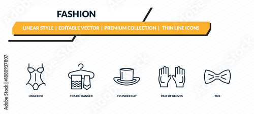fashion icons set - lingerine, ties on hanger, cylinder hat, pair of gloves, tux outline vector collection.