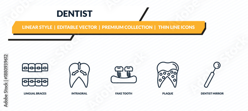 dentist icons set - lingual braces, intraoral, fake tooth, plaque, dentist mirror outline vector collection.
