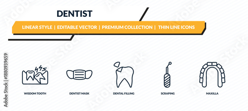 dentist icons set - wisdom tooth, dentist mask, dental filling, scraping, maxilla outline vector collection.