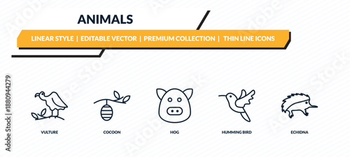 animals icons set - vulture, cocoon, hog, humming bird, echidna outline vector collection.