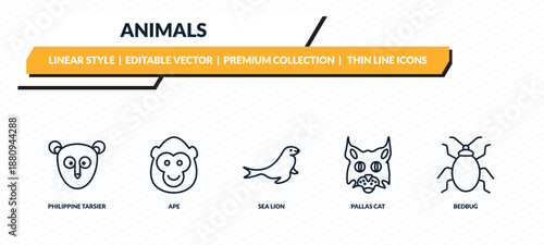 animals icons set - philippine tarsier, ape, sea lion, pallas cat, bedbug outline vector collection.