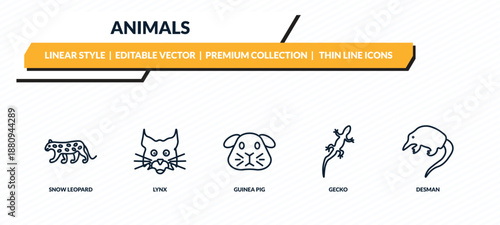 animals icons set - snow leopard, lynx, guinea pig, gecko, desman outline vector collection.