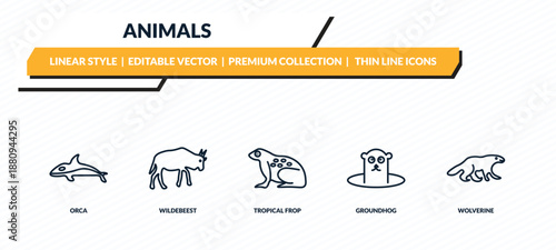 animals icons set - orca, wildebeest, tropical frop, groundhog, wolverine outline vector collection.