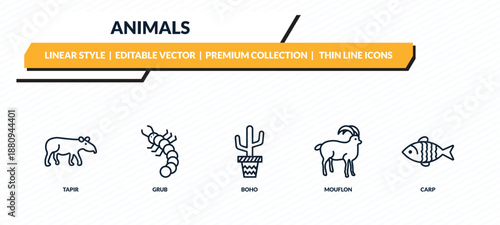 animals icons set - tapir, grub, boho, mouflon, carp outline vector collection.