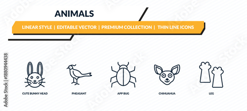 animals icons set - cute bunny head, pheasant, app bug, chihuahua, leg outline vector collection.