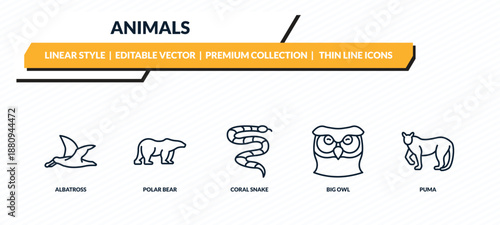 animals icons set - albatross, polar bear, coral snake, big owl, puma outline vector collection.