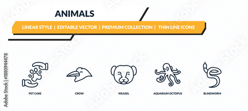 animals icons set - pet care, crow, weasel, aquarium octopus, blindworm outline vector collection.