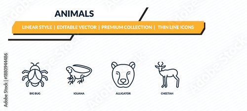 animals icons set - big bug, iguana, alligator, cheetah, antelope outline vector collection.